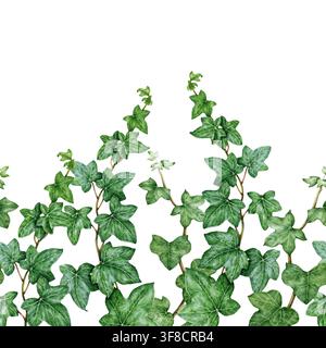 Bordure sans joint en lierre floral avec des feuilles vertes luxuriantes sur blanc. Illustration aquarellée de bordure en lierre peinte à la main pour papier peint, tissu, emballage Banque D'Images