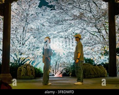 Couple se faisant face sous des cerisiers en fleurs la nuit, Mengxi Yuan, Hangzhou Banque D'Images