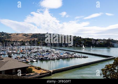 BELVEDERE, ÉTATS-UNIS - 26 JUIN 2026 : Une vue panoramique du port de plaisance et du port du San Francisco Yacht Club rempli de bateaux et de yachts, avec l'arbre Banque D'Images