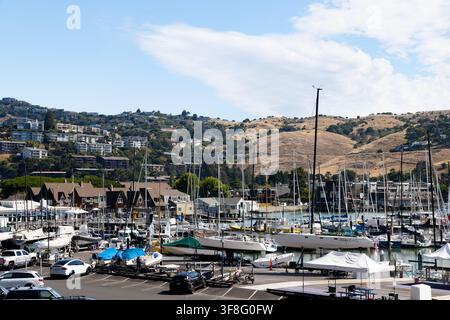 BELVEDERE, ÉTATS-UNIS - 26 JUIN 2026 : Vue des bateaux amarrés et stockés dans la marina du San Francisco Yacht Club à Belvedere Cove, avec des maisons sur le Banque D'Images