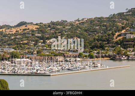 BELVEDERE, ÉTATS-UNIS - 26 JUIN 2026 : Une vue détaillée d'une marina avec de nombreux voiliers et quais à Belvedere Cove, encadrée par des maisons d'habitation Banque D'Images