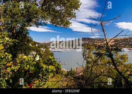 BELVEDERE, ÉTATS-UNIS - 26 JUIN 2026 : Une vue depuis l'île de Belvedere sur la baie Richardson. Encadrée par une végétation indigène comme des chênes vivants, Banque D'Images