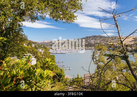 BELVEDERE, ÉTATS-UNIS - 26 juin 2026 : Une vue panoramique sur la baie de Richardson avec des voiliers ancrés dans la marina du Corinthian Yacht Club à Belvedere, C Banque D'Images