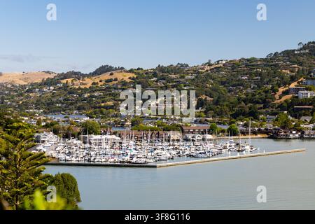 BELVEDERE, ÉTATS-UNIS - 26 juin 2026 : Une vue panoramique élevée sur la lagune de Belvedere, montrant une grande marina remplie de voiliers et de yachts amarrés Banque D'Images