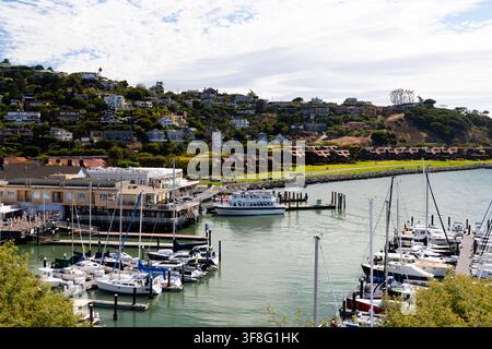 BELVEDERE, ÉTATS-UNIS - 26 JUIN 2026 : Une vue élevée sur le port de Belvedere sur la baie de Richardson, en Californie. Des voiliers et des yachts sont amarrés au Banque D'Images
