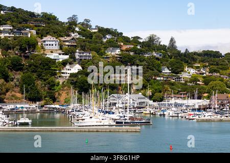 BELVEDERE, États-Unis - 26 juin 2026 : Des voiliers et des yachts sont amarrés aux quais de la marina du San Francisco Yacht Club à Belvedere Cove. Colline r Banque D'Images