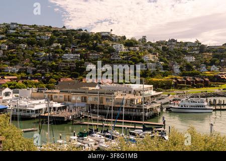 BELVEDERE, ÉTATS-UNIS - 26 JUIN 2026 : Vue élevée des maisons résidentielles construites sur une colline escarpée surplombant la marina avec divers voiliers Banque D'Images