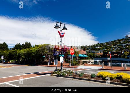 BELVEDERE, ÉTATS-UNIS - 26 JUIN 2026 : Scène de rue par une journée ensoleillée dans la ville portuaire de Belvedere, en Californie, montrant un lampadaire avec un fl Banque D'Images