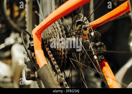 Grossissement d'un cassette arrière de vélo de montagne, de la chaîne et de l'assemblage de frein à disque dans un atelier de vélo. Une vue détaillée montre les composants de la transmission pendant Banque D'Images