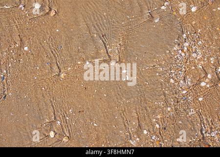 une vue tranquille par le dessus d'une plage de sable avec de douces ondulations et des coquillages dispersés, évoquant un sentiment de calme et de détente, nature. Banque D'Images