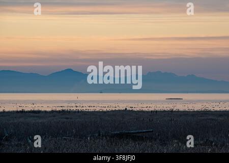 La vue montre un vaste plan d'eau au coucher du soleil avec des montagnes lointaines se détachant contre le ciel. On peut voir des oiseaux voler au-dessus de l'eau. La scène ajoute Banque D'Images