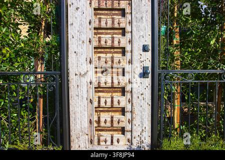 Porte en bois rustique avec grillage en fer et végétation luxuriante dans le quartier des canaux ensoleillé de Venise Banque D'Images