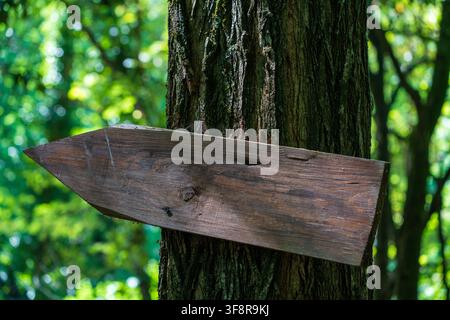Flèche en bois vierge pointant vers la gauche dans la forêt Banque D'Images