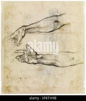 Michelangelo Buonarroti, Études d'un bras tendu, dessin anatomique à la craie pour la fresque 'L'Ivresse de Noé' dans la Chapelle Sixtine, vers 1508-1509 Banque D'Images
