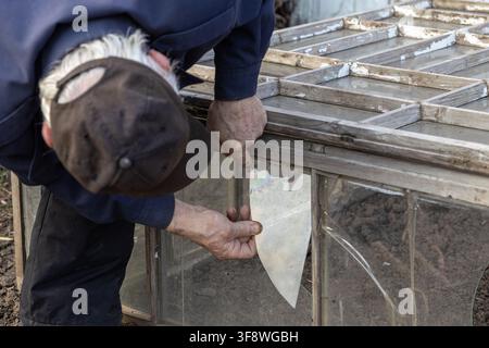 Une vue rapprochée d'une personne utilisant des mains habiles pour remplacer des vitres brisées dans une serre de jardin rustique, montrant un dévouement à la préservation des jardins historiques Banque D'Images