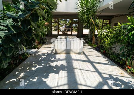 Un grand tombeau en marbre blanc se dresse au centre d'un atrium inondé de lumière rempli de plantes tropicales vertes luxuriantes. La lumière du soleil filtre à travers le toit vitré, cas Banque D'Images