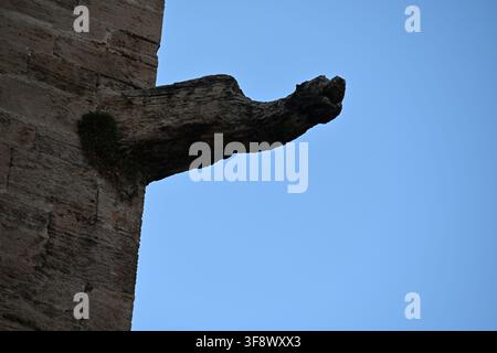 Gargouille dragon au coin d'une église en grès Banque D'Images