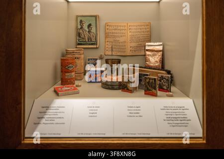 Bastogne, Belgique - 21 juil. 25 : Vitrine contenant des livres allemands de l'époque de guerre, des produits ménagers et des objets de propagande dans les salles de guerre de Bastogne. Banque D'Images