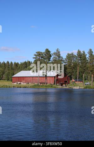 Une grande grange en bois rouge traditionnelle avec des vaches paissant à l'extérieur près d'un lac et d'une forêt de pins dans le nord de la Suède. Banque D'Images
