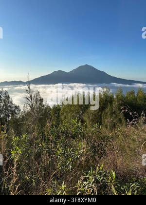 Le sommet du volcan Mount Agung s'élevant au-dessus de la mer de nuages à Banjar Kedisan, Bali, Indonésie Banque D'Images