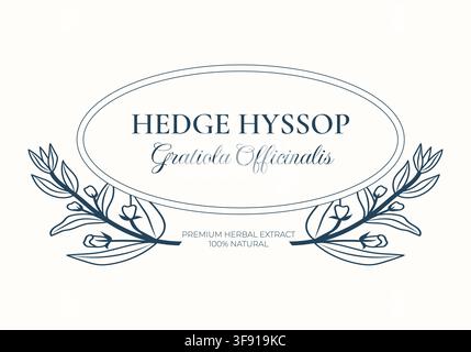 Étiquette botanique d'Hélichrysum et modèle de cadre floral Illustration de Vecteur