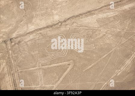 Vue aérienne des lignes de Nazca, Pérou  Géoglyphs anciens Banque D'Images
