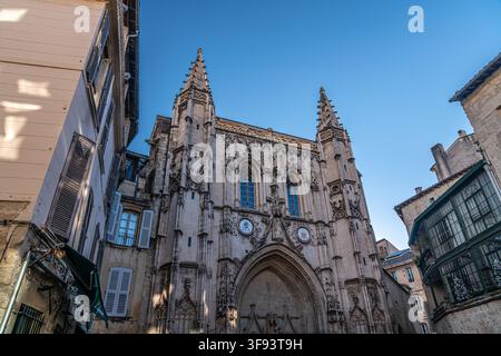 L'imposante façade gothique de la basilique Saint-Pierre (Église Saint-Pierre) dans le centre historique d'Avignon, France. Banque D'Images