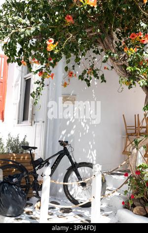 Vélo appuyé contre un mur blanc sous une vigne orange en fleurs, Mykonos, Grèce. Banque D'Images