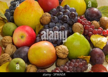 Assortiment frais de fruits de saison, raisins et noix disposés avec des feuilles d'automne colorées sur un fond en tissu rustique. Concept de récolte automnale Banque D'Images