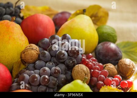 Une photographie horizontale en gros plan d'une nature morte de récolte automnale riche présentant des raisins bleu foncé, des poires mûres, des pommes rouges et des noix disposés sur un Rus Banque D'Images