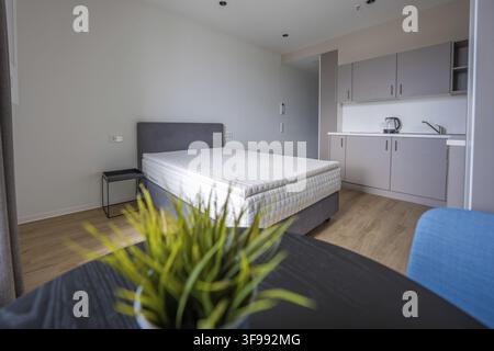 Chambre minimaliste avec un grand lit, une table avec une plante verte et un coin cuisine, Boarding House du Klinikverbund Suedwest, Boeblingen, Allemagne Banque D'Images