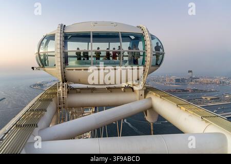 Ain Dubai la grande roue la plus haute du monde avec The Palm Jumeirah aux Émirats arabes unis Banque D'Images