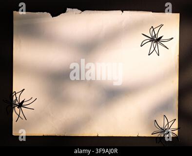 Papier vintage déchiré vierge avec des araignées et des ombres de toiles pour fond de message ou invitation d'Halloween Banque D'Images