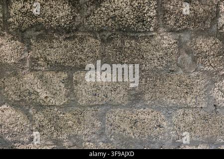 Gros plan d'un vieux mur de briques moussues avec une texture rugueuse et usée en arrière-plan Banque D'Images