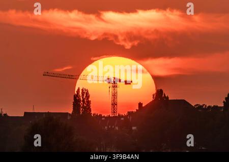 Coucher de soleil sur le Rhin, Düsseldorf, 14 août 2026 Allemagne, Düsseldorf, 14 août 2026, coucher de soleil sur le Rhin, beau temps, une grue se tient devant le disque solaire rougeoyante sur les rives du Rhin, plein été, vague de chaleur, été, météo, soirée d'été, Rhénanie du Nord-Westphalie, NRW, *** Coucher de soleil sur le Rhin, Düsseldorf, 14 août 2026 Allemagne, Düsseldorf, 14 août 2026, coucher de soleil sur le Rhin, beau temps, une grue se tient devant le disque solaire rougeoyante sur les rives du Rhin, plein été, vague de chaleur, été, météo, soirée d'été, Rhénanie du Nord-Westphalie, NRW, Banque D'Images