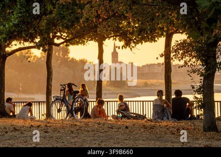 Les gens profitent de la chaude soirée d'été sur les berges du Rhin, Düsseldorf, 14 août 2026 Allemagne, Düsseldorf, 14 août 2026, Les gens profitent de la chaude soirée d'été sur les berges du Rhin, assis sous les arbres dans la lumière dorée du soir, une chaude journée d'été touche à sa fin, rive du parlement près du Landtag, le soir à 20h25, beau temps, plein été, canicule, été, météo, Rhénanie-du-Nord-Westphalie, NRW, *** Les gens profitent de la chaude soirée d'été sur la rive du Rhin, Düsseldorf, 14 août 2026, Allemagne, Düsseldorf, 14 août 2026, Les gens profitent de la chaude soirée d'été sur la rive Banque D'Images