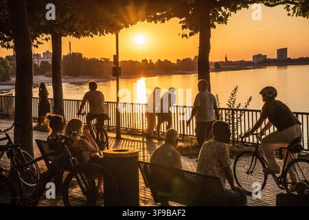 Les gens profitent de la chaude soirée d'été sur les rives du Rhin, Düsseldorf, 14 août 2026 Allemagne, Düsseldorf, 14 août 2026, Les gens profitent du coucher du soleil sur les rives du Rhin, assis sous les arbres, se promènent ou font du vélo, une chaude journée d'été touche à sa fin, lumière dorée du soir, rive du parlement près du Landtag, en soirée vers 20h25, beau temps, plein été, canicule, été, météo, Rhénanie-du-Nord-Westphalie, NRW, *** Les gens profitent de la chaude soirée d'été sur les rives du Rhin, Düsseldorf, 14 août 2026, Allemagne, Düsseldorf, 14 août 2026, Les gens profitent du soleil Banque D'Images