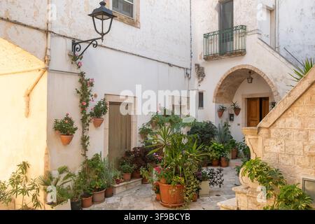 Rue étroite avec maisons blanches à Locorotondo, Italie Banque D'Images