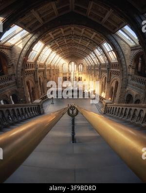 Vue du musée d'histoire naturelle de Londres, mettant en scène le grand escalier et l'emblématique squelette de baleine bleue suspendu dans la salle Hintze baignée de lumière, Lo Banque D'Images