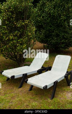 Deux chaises longues invitant à la détente dans un cadre de jardin tranquille Banque D'Images