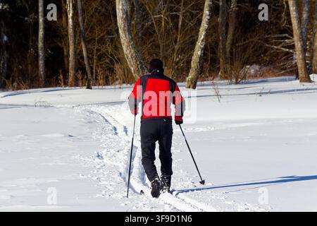 Skieur de fond énergique en veste rouge glissant le long d'un sentier forestier enneigé, vue arrière capturant l'athlète en mouvement à travers un hiver paisible et ensoleillé Banque D'Images