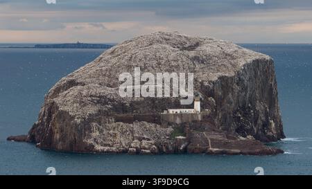 Vue aérienne de Bass Rock avec son phare emblématique et sa grande colonie de mouettes de Bass Rock entourée par la mer du Nord à North Berwick, Écosse, Royaume-Uni Banque D'Images
