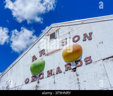 Panneau usé de Carlson Orchards et emblèmes de fruits sur la façade blanche d'une grange dans le verger familial de Harvard, Massachusetts, États-Unis. Banque D'Images