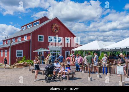 Les visiteurs se rassemblent devant le bar à cidre de Cider Barn chez Carlson Orchards lors d'un week-end d'été à Harvard, Massachusetts, États-Unis. Banque D'Images