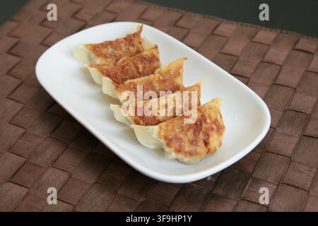 Une rangée de gyoza japonais frits croustillants disposés avec soin sur une assiette rectangulaire blanche posée sur un tapis tissé. Banque D'Images