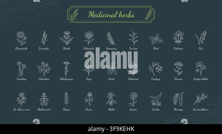 Collection d'icônes en ligne art de plantes médicinales sur fond sombre Illustration de Vecteur