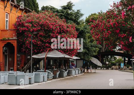 Bar, Monténégro – 26 juin 2026. Des tables de café en plein air se dressent sous de grands oléandres en fleurs le long d'une promenade côtière aménagée. Banque D'Images