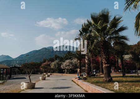 Bar, Monténégro - 26 juin 2026. Des palmiers et des oléandres en fleurs bordent une promenade maritime ensoleillée avec des gens et des montagnes en arrière-plan. Banque D'Images