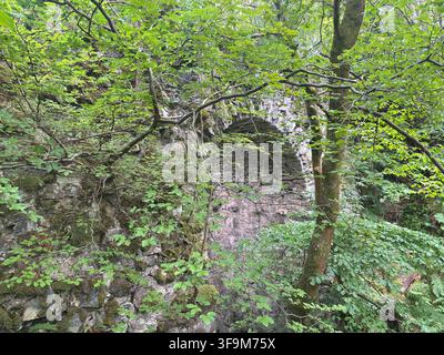 Une ancienne structure de pont en pierre abandonnée se dresse partiellement en ruine au milieu de l'environnement rural du Perthshire, en Écosse. Banque D'Images