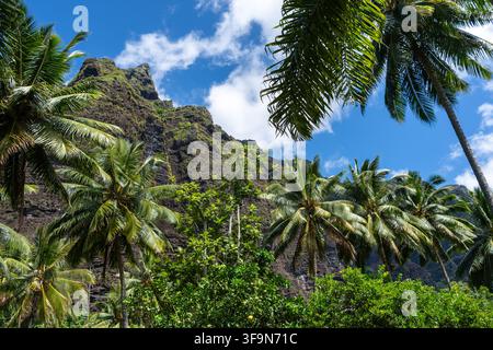 Un chemin de jungle luxuriant à travers la vallée de Hakaui, Nuku Hiva, les îles Marquises, Polynésie française. D'imposantes falaises de basalte et une végétation dense entourent le tra Banque D'Images